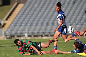 South Sydney RABBBITOH's v Canterbury-Bankstown BULLDOGS Harold Matthews Cup Preliminary Finals (Photo : steve montgomery / OurFootyTeam.com)