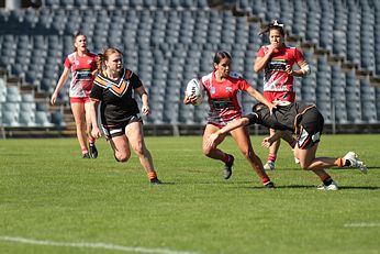 Harvey Norman Tarsha Gale Cup Preliminary Final WestsTigers v Illawarra Steelers U18 Action Photo's (Photo : steve montgomery / OurFootyTeam.com)