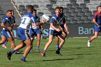 Newcastle KNIGHTS v Canterbury-Bankstown BULLDOGS Mattys Cup Grand Final Action (Photo : Steve Montgomery / OurFootyTeam.com) 