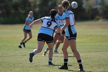 St. George Dragons v Cronulla - Sutherland Sharks Tarsha Gale Cup Action (Photo : steve montgomery / OurFootyTeam.com)