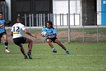 2019 NSWRL Harold Matthews Cup Rnd 1 SHARKS v PANTHERS 16s Action (Photo : steve montgomery / OurFootyTeam.com)