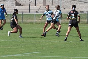 Penrith Panthers v Cronulla - Sutherland Sharks Tarsha Gale Cup Action (Photo : steve montgomery / OurFootyTeam.com)