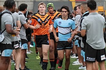 Balmain TIGERS v Cronulla - Sutherland Sharks Harold Matthews Cup Rnd 5 Action (Photo : steve montgomery / OurFootyTeam.com)