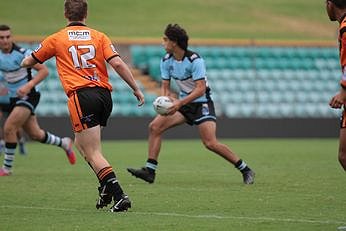 Cronulla Sharks u16s Harold Matthews Cup v Balmain TIGERS Action (Photo : steve montgomery / OurFootyTeam.com)