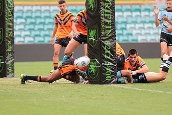 NSWRL Balmain TIGERS v Cronulla Sharks Action (Photo : steve montgomery / OurFootyTeam.com)