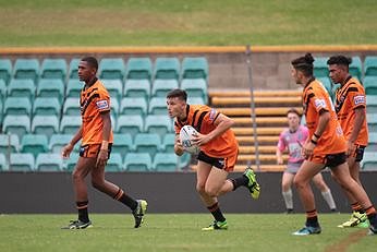 Balmain TIGERS v Cronulla - Sutherland Sharks Harold Matthews Cup Rnd 5 Action (Photo : steve montgomery / OurFootyTeam.com)