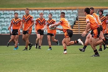 NSWRL Balmain TIGERS v Cronulla Sharks Action (Photo : steve montgomery / OurFootyTeam.com)