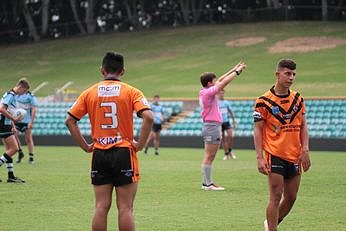 Cronulla Sharks u16s Harold Matthews Cup v Balmain TIGERS Action (Photo : steve montgomery / OurFootyTeam.com)