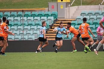 2019 NSWRL Harold Matthews Cup Rnd 5 SHARKS v TIGERS 16s Action (Photo : steve montgomery / OurFootyTeam.com)