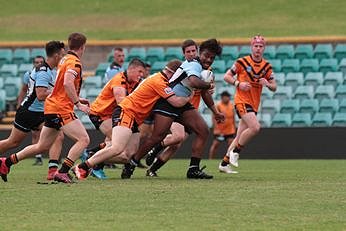 NSWRL SG Ball Balmain TIGERS v Cronulla - Sutherland SHARKS Action (Photo : steve montgomery / OurFootyTeam.com)