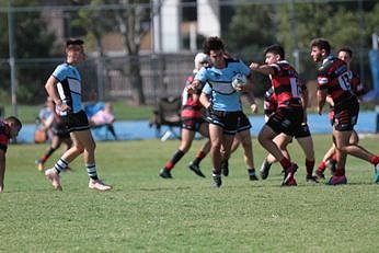 Cronulla Sharks v North Sydney BEARS Harold Matthews Rnd 7 Action (Photo : steve montgomery / OurFootyTeam.com) 