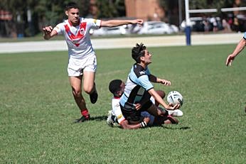 Cronulla Sharks v St. George Dragons Mattys Cup Action (Photo : steve montgomery / OurFootyTeam.com) 