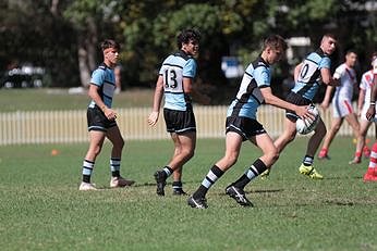 Cronulla Sharks v St. George Dragons Mattys Cup Action (Photo : steve montgomery / OurFootyTeam.com) 