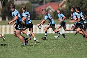 St. George Dragons v Cronulla Sharks SG B Ball Cup Rnd 9 Action (Photo : steve montgomery / OurFootyTeam.com) 