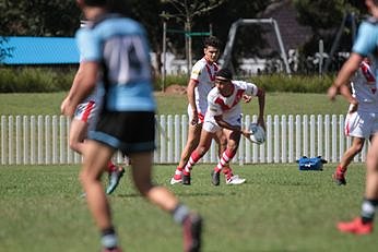 Cronulla Sharks v St. George Dragons Mattys Cup Action (Photo : steve montgomery / OurFootyTeam.com) 