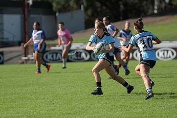 Canterbury-Bankstown BULLDOGS v Cronulla-Sutherland Sharks Tarsha Gale Cup Round 9 Action (Photo : steve montgomery / OurFootyTeam.com)