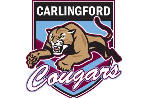 carlingford cougars jrlfc logo