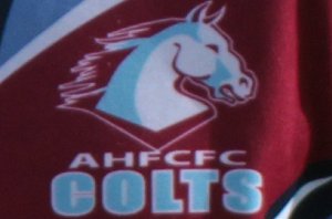 aquinas colts jrlfc logo