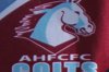 aquinas colts jrlfc logo