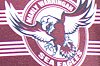 Manly SEAEAGLES Jersey Flegg