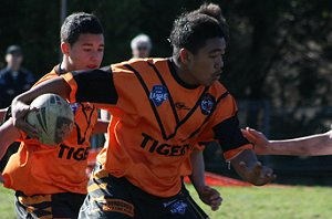 Sharks Vs Tigers U 13 Rugby League (Photo : ourfooty media)