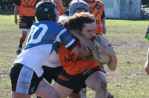 Sharks Vs Tigers U 13 Rugby League (Photo : ourfooty media)
