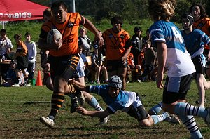 Sharks Vs Tigers U 13 Rugby League (Photo : ourfooty media)