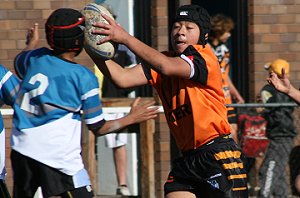 Sharks Vs Tigers U 13 Rugby League (Photo : ourfooty media)