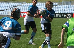 Cronulla Sharks U 13's Vs Dubbo EastRidge Cobra's, Shark Park (Photo's : ourfooty media)