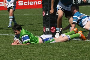 Cronulla Sharks U 13's Vs Dubbo EastRidge Cobra's, Shark Park (Photo's : ourfooty media)