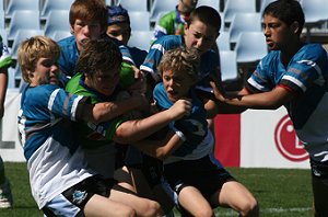 Cronulla Sharks U 13's Vs Dubbo EastRidge Cobra's, Shark Park (Photo's : ourfooty media)