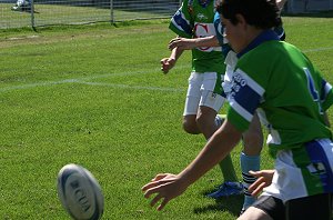 Cronulla Sharks U 13's Vs Dubbo EastRidge Cobra's, Shark Park (Photo's : ourfooty media)