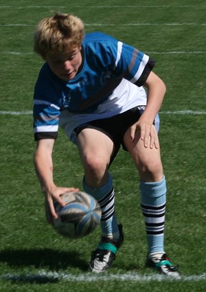 Cronulla Sharks U 13's Vs Dubbo EastRidge Cobra's, Shark Park (Photo's : ourfooty media)