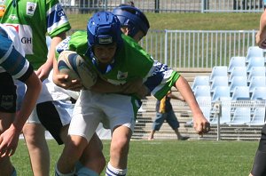 Cronulla Sharks U 13's Vs Dubbo EastRidge Cobra's, Shark Park (Photo's : ourfooty media)