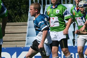 Cronulla Sharks U 13's Vs Dubbo EastRidge Cobra's, Shark Park (Photo's : ourfooty media)