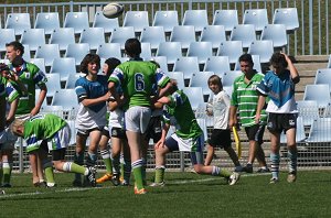 Cronulla Sharks U 13's Vs Dubbo EastRidge Cobra's, Shark Park (Photo's : ourfooty media)