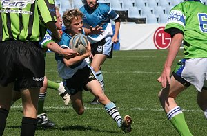 Cronulla Sharks U 13's Vs Dubbo EastRidge Cobra's, Shark Park (Photo's : ourfooty media)