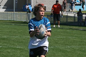 Cronulla Sharks U 13's Vs Dubbo EastRidge Cobra's, Shark Park (Photo's : ourfooty media)