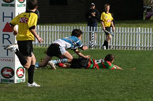 Souths Vs Sharks Under 13's development game (Photo : ourfooty media)