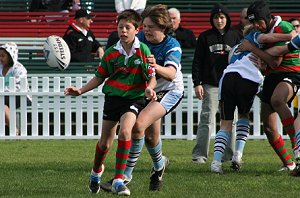 Souths Vs Sharks Under 13's development game (Photo : ourfooty media)