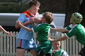 De La Salle Caringbah Vs Gymea Gorilla's Under 13A's Final (Photo's : Steve Montgomery / OurFootyTeam.com)