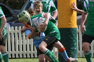 De La Salle Caringbah Vs Gymea Gorilla's Under 13A's Final ( Photo's : ourfooty media ) 