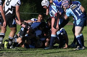 Aquinas Colts Vs Cronulla Caringbah U 15A's Rnd 17 (Photo's : ourfooty media)
