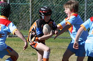 De La Salle Vs Yarrawarra Tigers U 8B's action (Photo's : ourfooty media) 