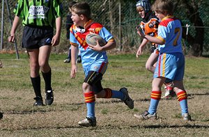 De La Salle Vs Yarrawarra Tigers U 8B's action (Photo's : ourfooty media) 