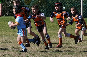 De La Salle Vs Yarrawarra Tigers U 8B's action (Photo's : ourfooty media) 