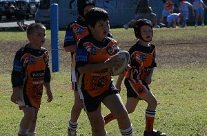 De La Salle Vs Yarrawarra Tigers U 8B's action (Photo's : ourfooty media) 