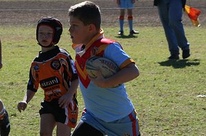 De La Salle Vs Yarrawarra Tigers U 8B's action (Photo's : ourfooty media) 