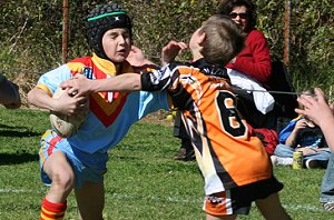 De La Salle Vs Yarrawarra Tigers U 8B's action (Photo's : ourfooty media) 