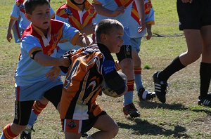 De La Salle Vs Yarrawarra Tigers U 8B's action (Photo's : ourfooty media) 